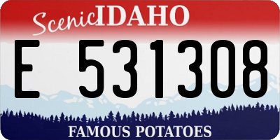 ID license plate E531308