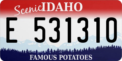 ID license plate E531310