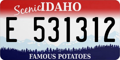 ID license plate E531312