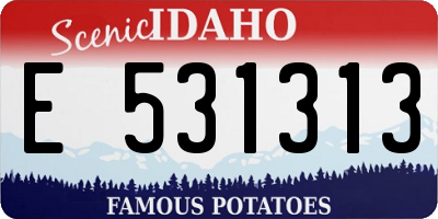 ID license plate E531313