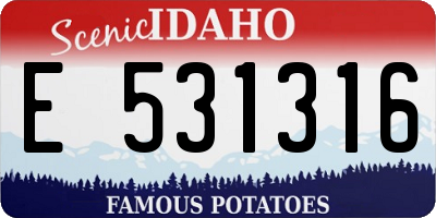 ID license plate E531316