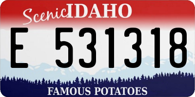 ID license plate E531318