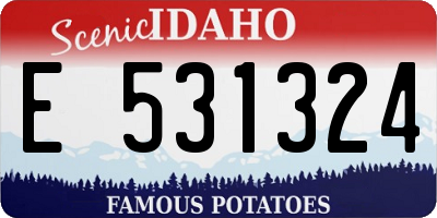 ID license plate E531324