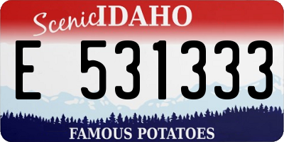 ID license plate E531333
