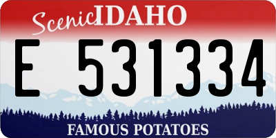 ID license plate E531334