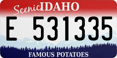 ID license plate E531335