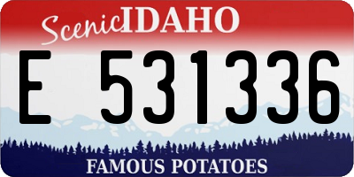 ID license plate E531336