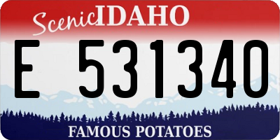 ID license plate E531340