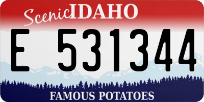 ID license plate E531344