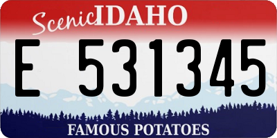 ID license plate E531345