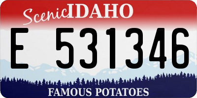 ID license plate E531346