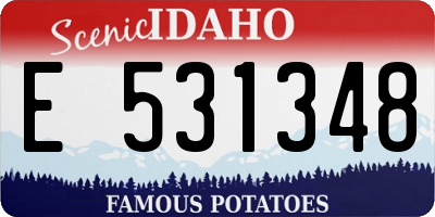 ID license plate E531348