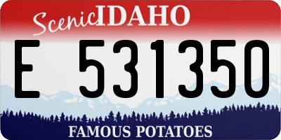 ID license plate E531350