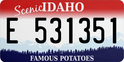 ID license plate E531351