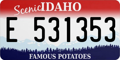 ID license plate E531353