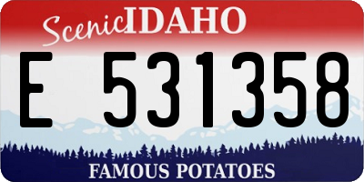 ID license plate E531358