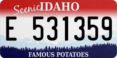 ID license plate E531359