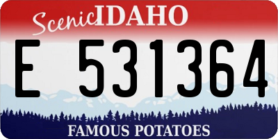 ID license plate E531364