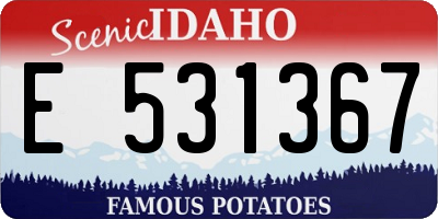 ID license plate E531367
