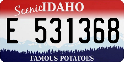 ID license plate E531368