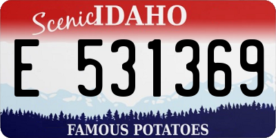 ID license plate E531369
