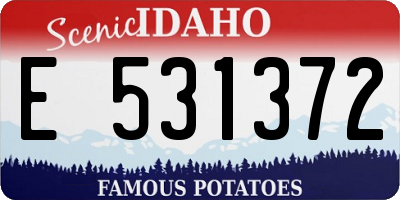 ID license plate E531372