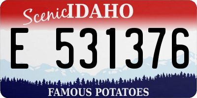 ID license plate E531376
