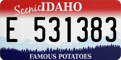 ID license plate E531383