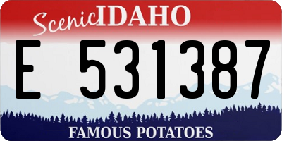 ID license plate E531387