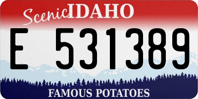 ID license plate E531389