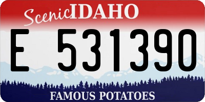 ID license plate E531390
