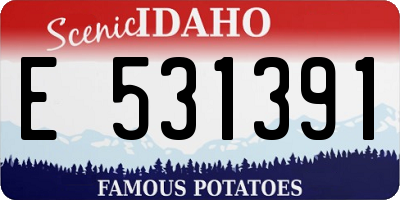 ID license plate E531391