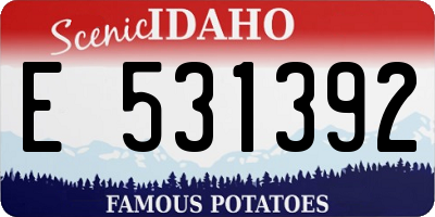 ID license plate E531392