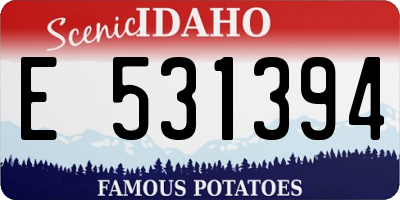 ID license plate E531394