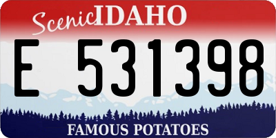 ID license plate E531398