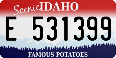 ID license plate E531399