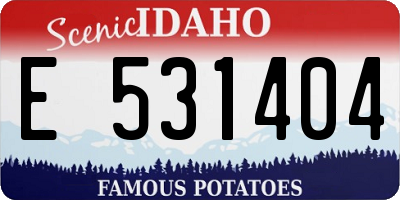 ID license plate E531404