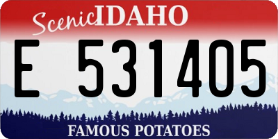 ID license plate E531405