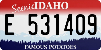 ID license plate E531409