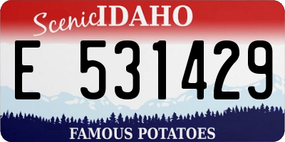 ID license plate E531429