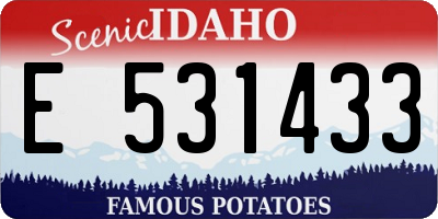 ID license plate E531433