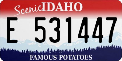 ID license plate E531447