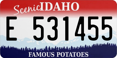 ID license plate E531455