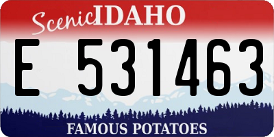 ID license plate E531463