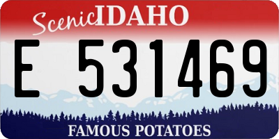 ID license plate E531469