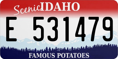 ID license plate E531479