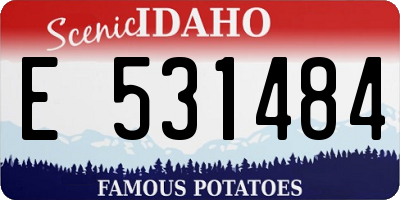 ID license plate E531484