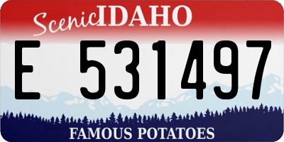 ID license plate E531497