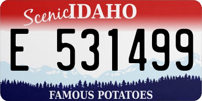 ID license plate E531499