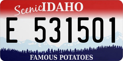 ID license plate E531501